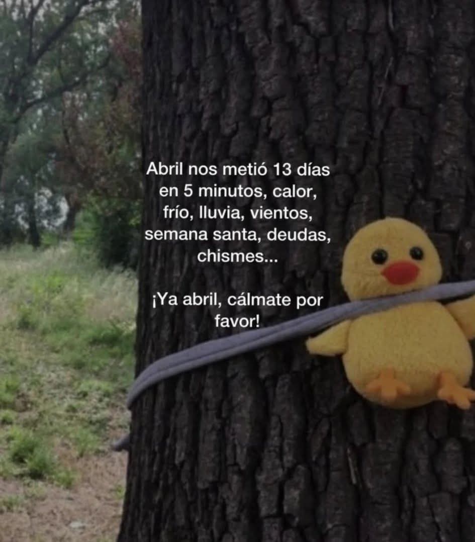 La lic a secas... tweet media