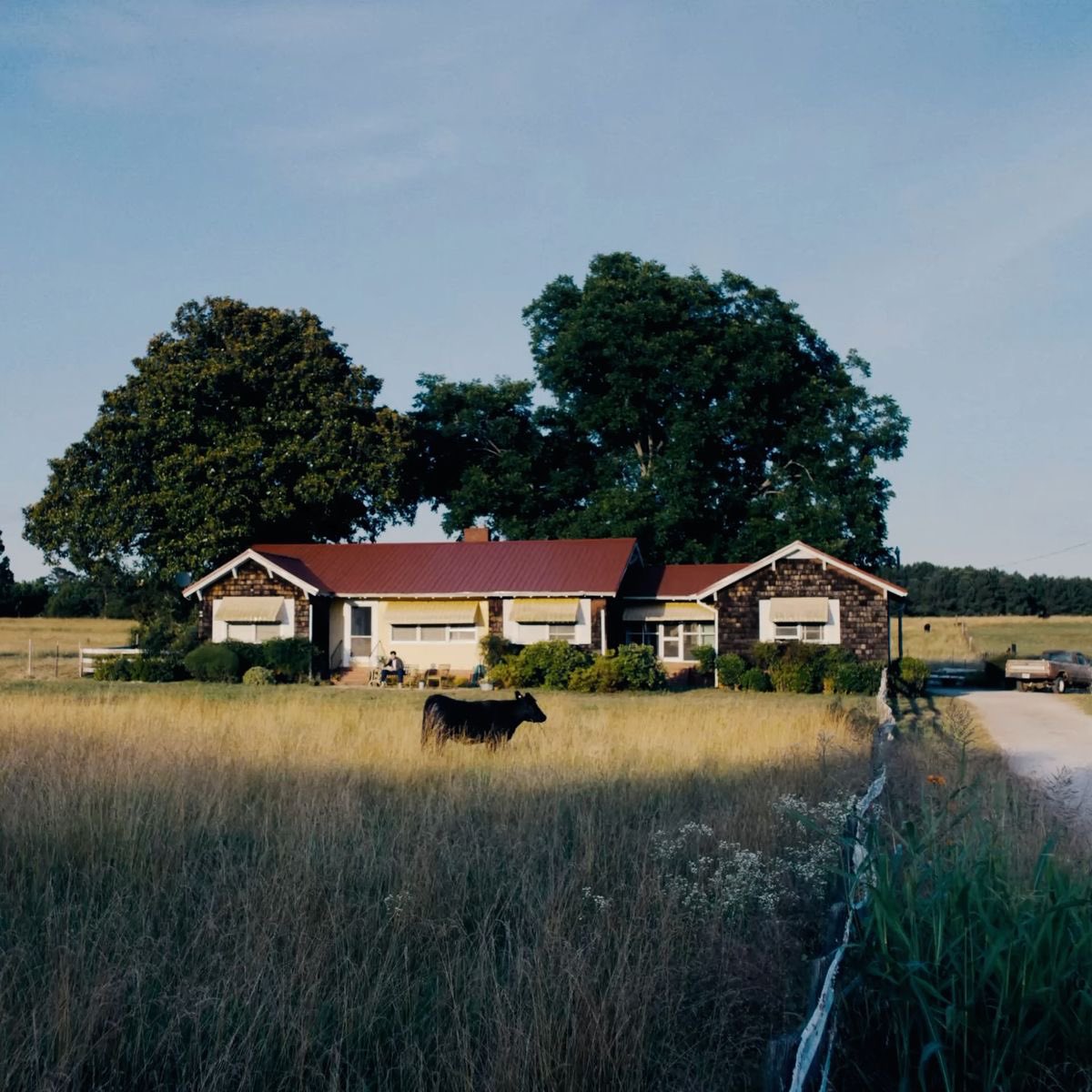 superman core tweet media