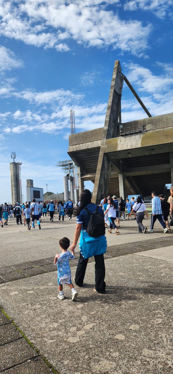 Maia Pezzi tweet media