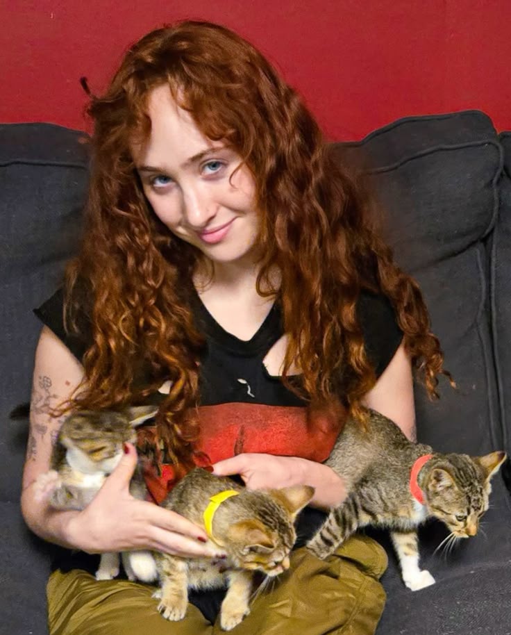 equipe jurídico chappell roan tweet media