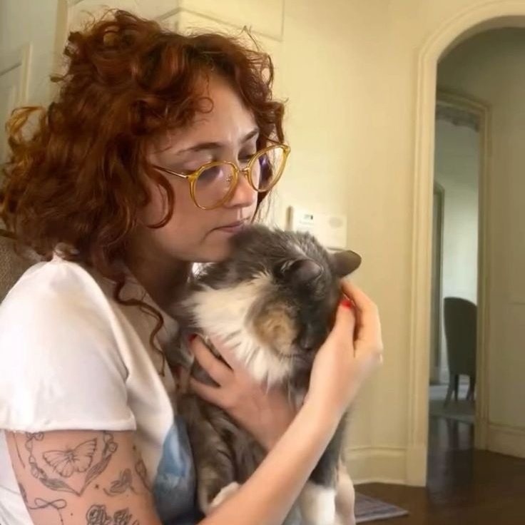 equipe jurídico chappell roan tweet media