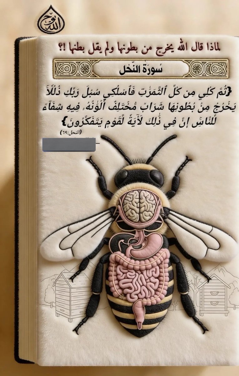 Vefa Sultan tweet media