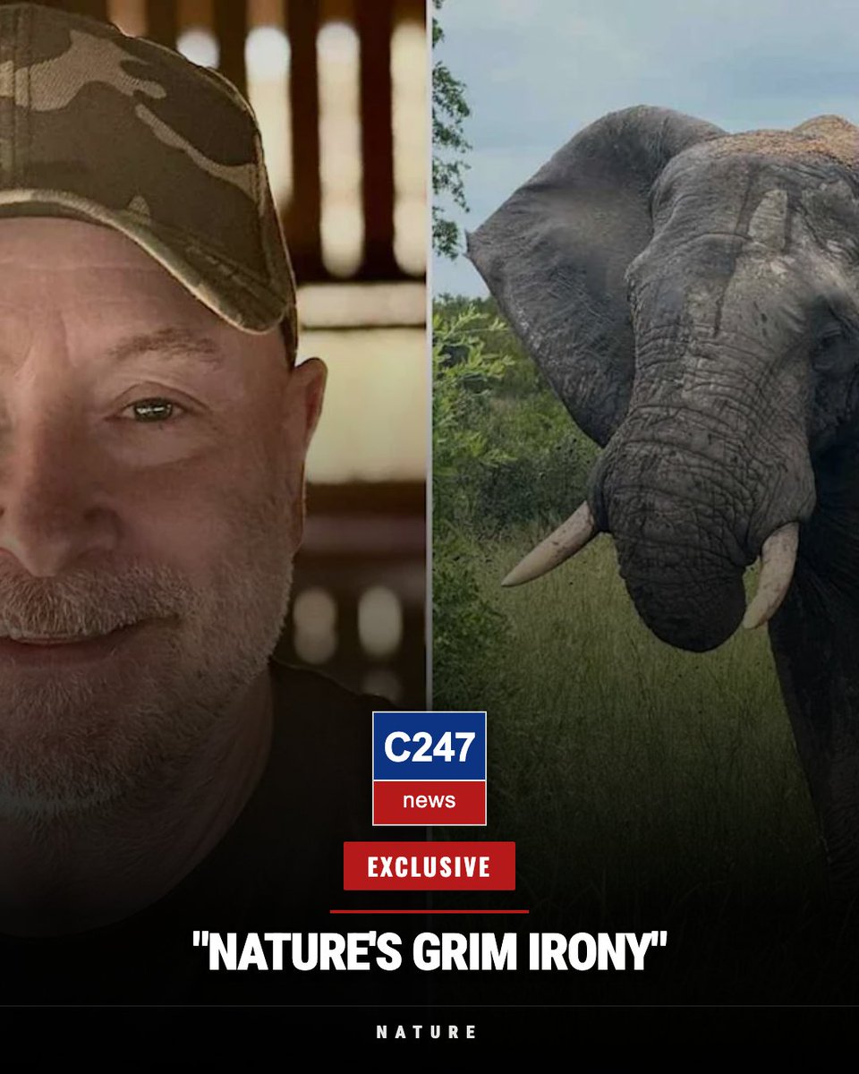 C247news's tweet image. 🚨 BREAKING: 'Elephant Tramples Guide Who Refused to Shoot'

Gary Freeman, safari guide, killed in South Africa after elephant charge. Reportedly said he'd rather die than shoot one.

Thoughts on nature's unpredictable power? 👇

#Africa #Wildlife #Karma #Tragedy