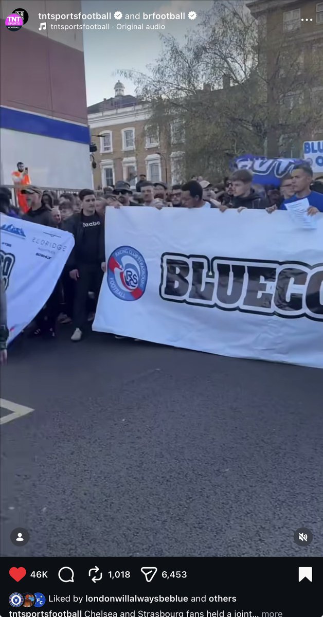mineralsfc's tweet photo. The goat knows this is not Chels #BlueCoOut https://t.co/awmV1JJQOj