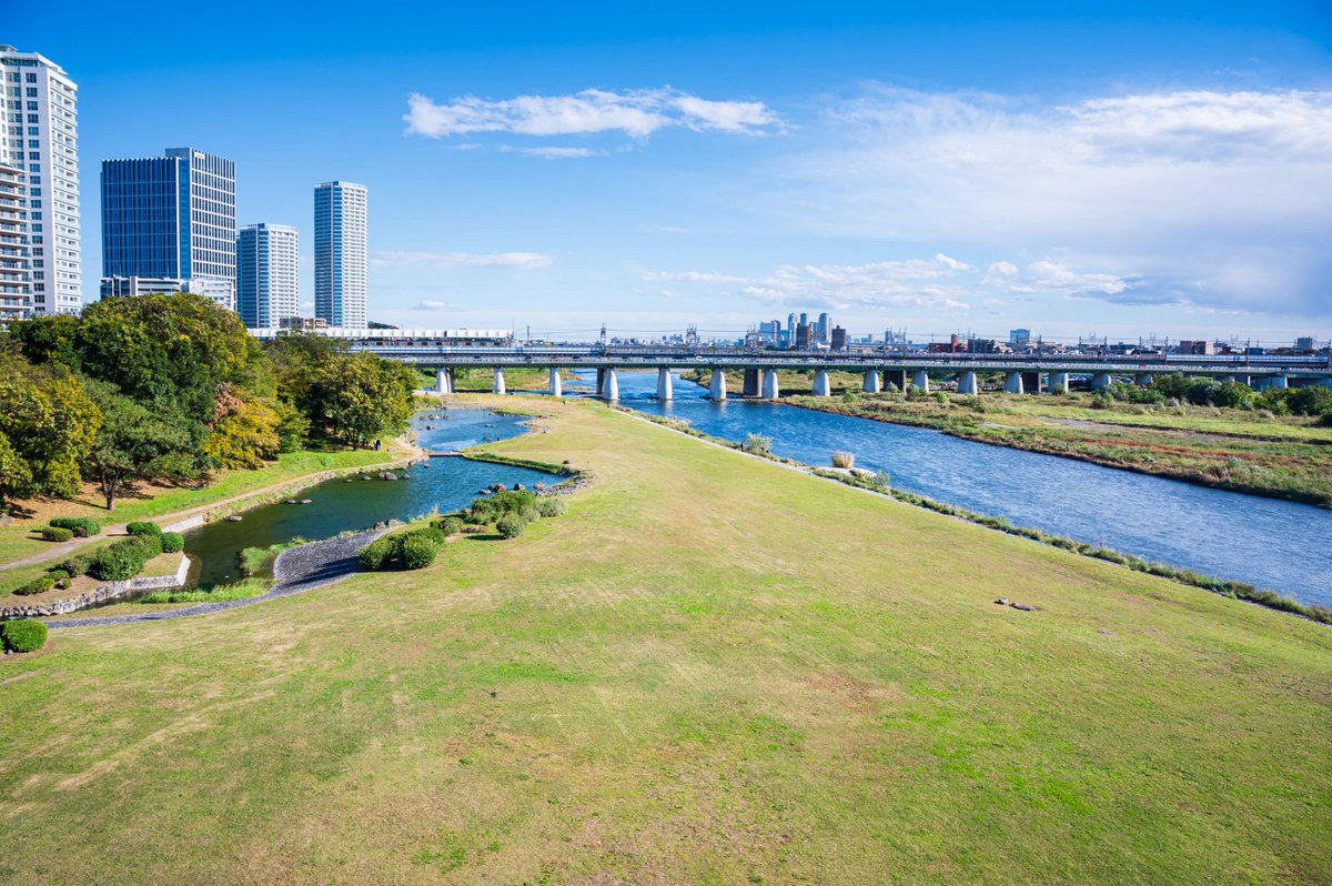 ピスチコ@目指せミニマリスト tweet media