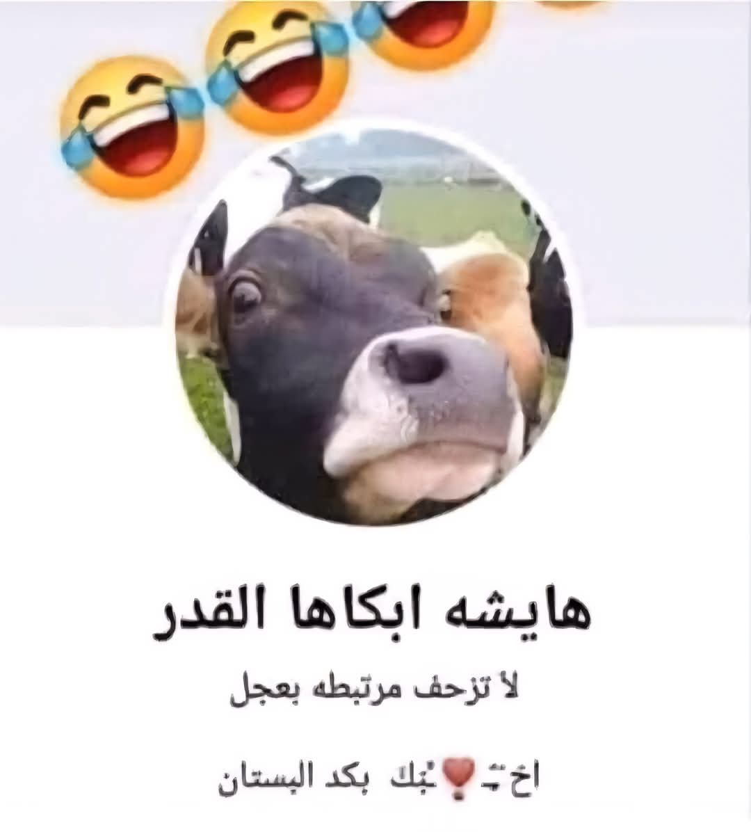 ‏أسـ🅞ⓢ🅐ⓜ🅐ـامـْـْْـْة 🇾🇪 tweet media