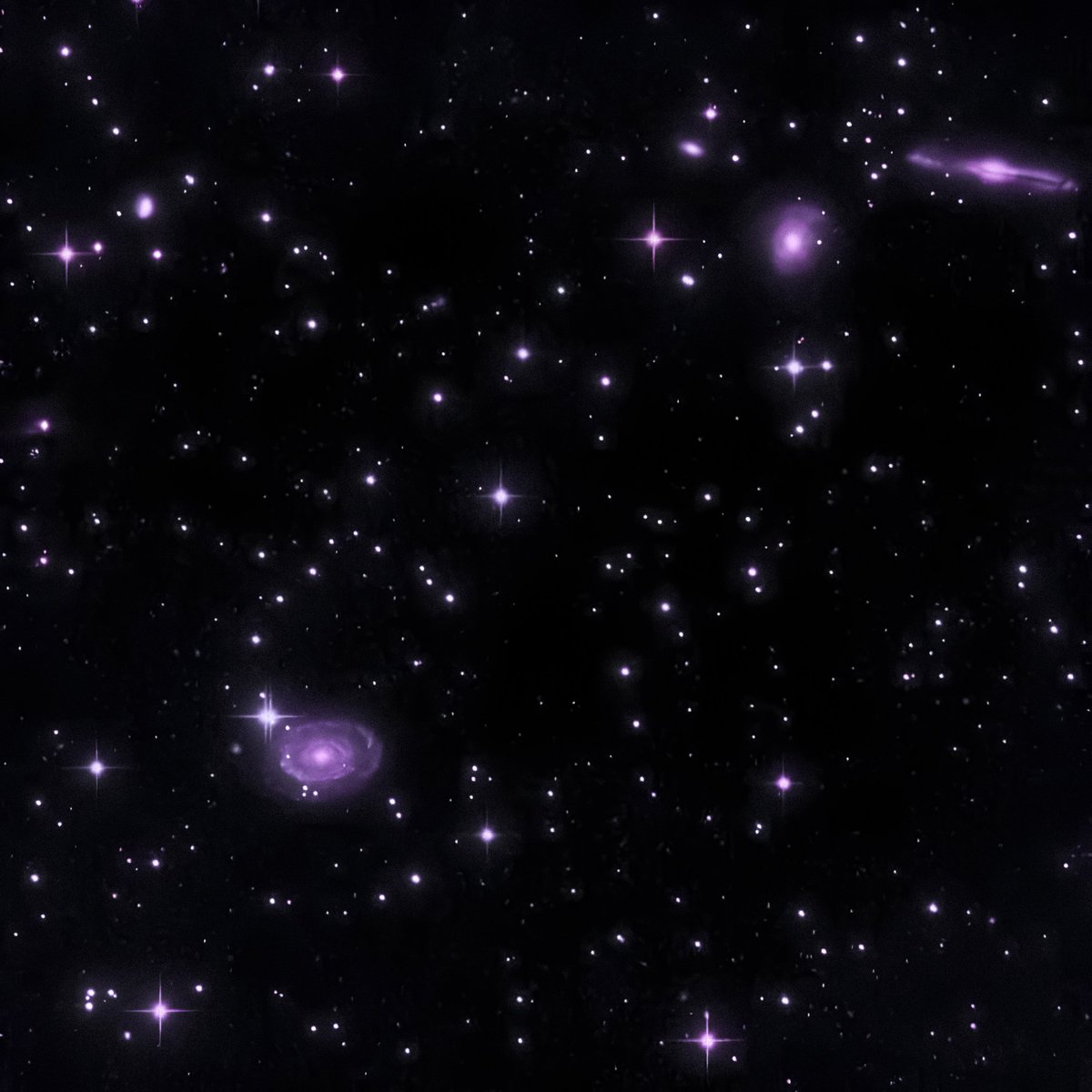 studio ghibli (@gardenofghibli) on Twitter photo 