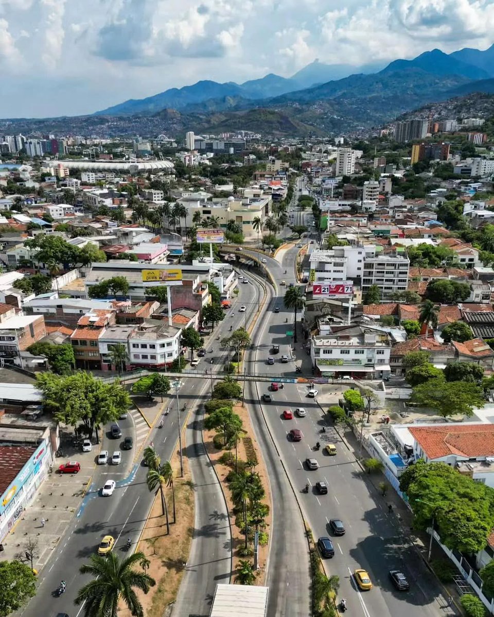 Juan Martín Bravo C. tweet media