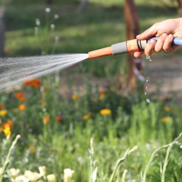 Son of ARAN tweet media