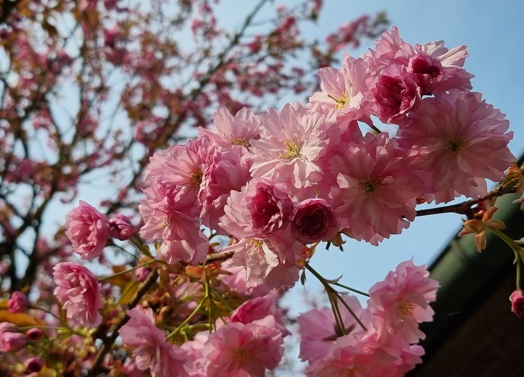 Gartenglück tweet media