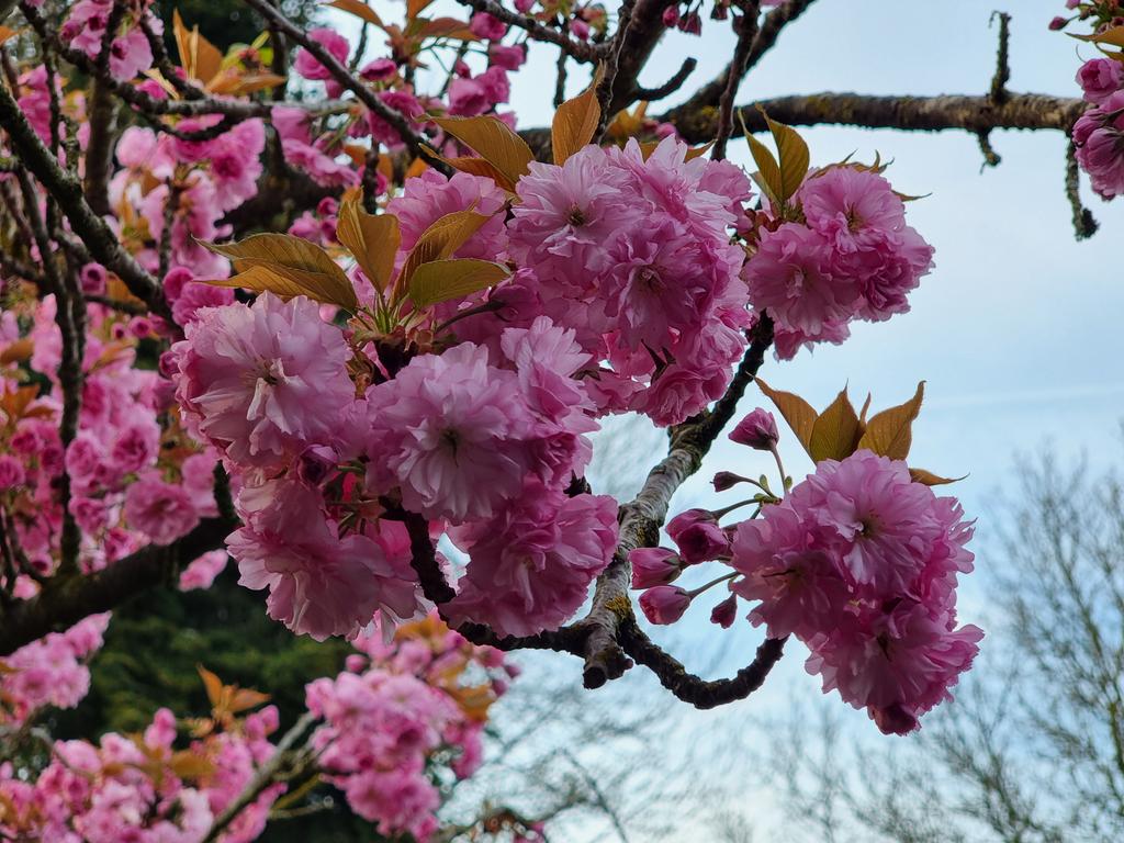 Gartenglück tweet media