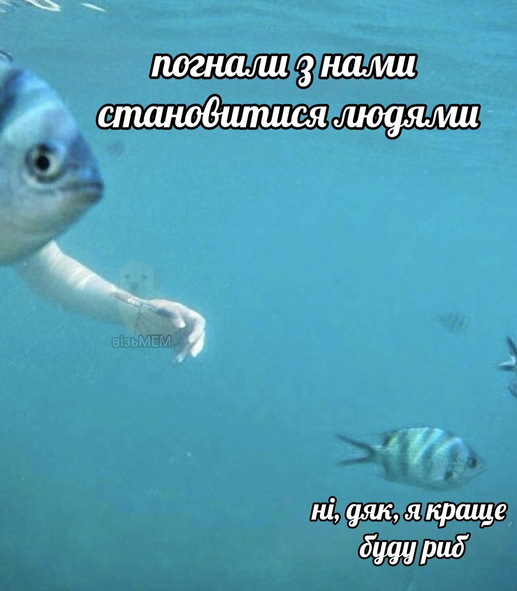 візьМЕМ (@with_mem) on Twitter photo 