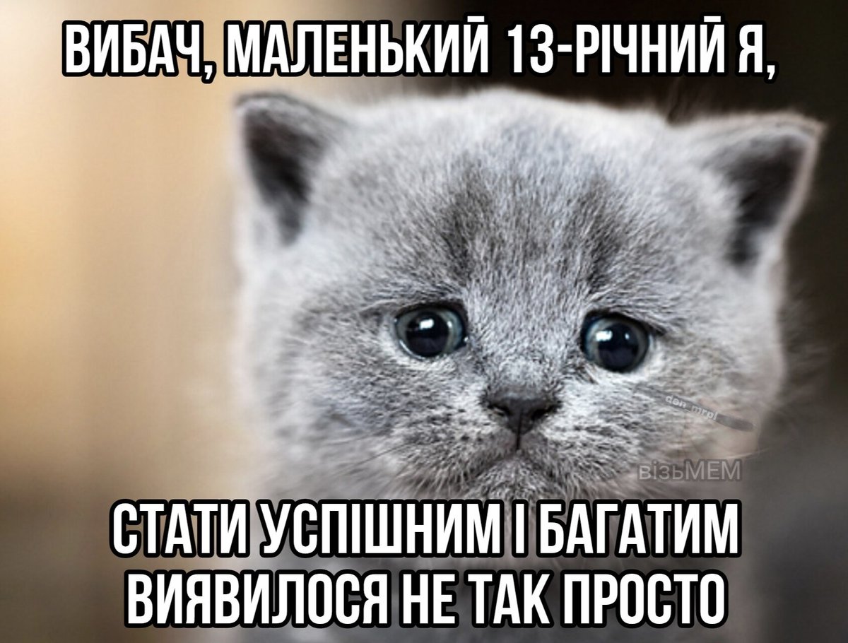 візьМЕМ (@with_mem) on Twitter photo 