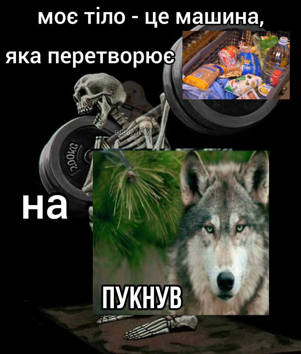 візьМЕМ (@with_mem) on Twitter photo 