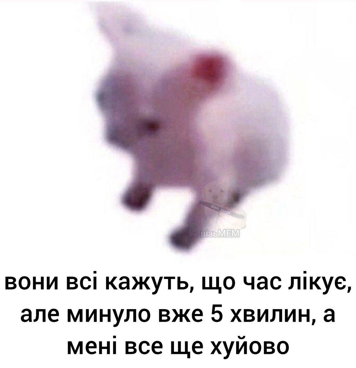 візьМЕМ (@with_mem) on Twitter photo 