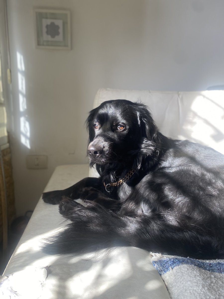 La luz de hoy perfectamente con su color y sus ojos #LovelyRita