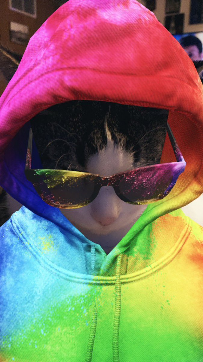 shellyshell2u's tweet image. Curly 😺 #catselfie #cats_of_instagram #catsofinstagram #catstagram #cats_of_world #catsoftheday #instacat #catsofig #catsoftwitter #catsofbluesky #cat #cats #snapchat #curlythecat