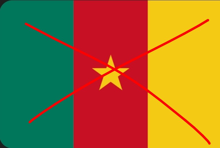 🇨🇲🗿¹⁷ tweet media