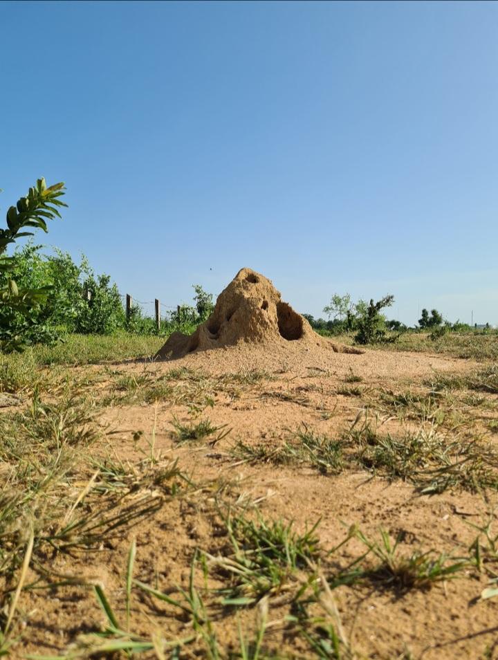 Kada NGBALE tweet media