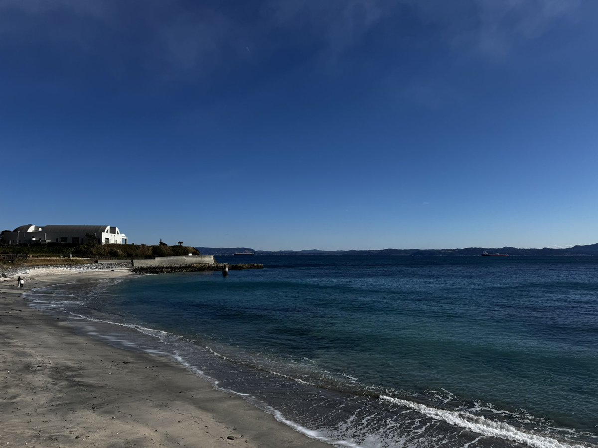 はいぐま tweet media