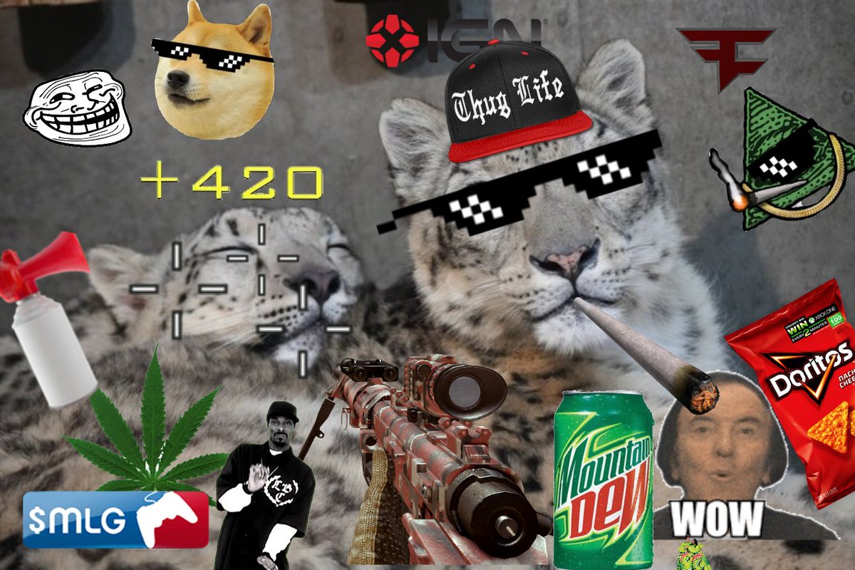 Muffin 🇨🇿 tweet media