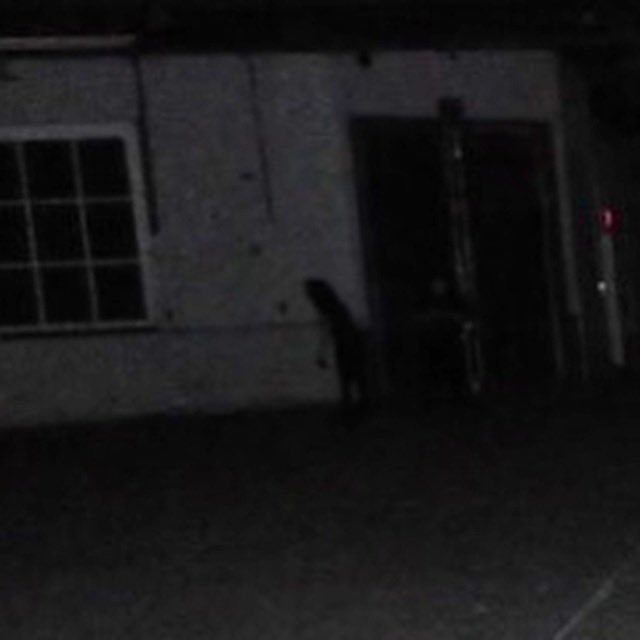 RealmOfCurios's tweet photo. Greetings! Check out the time we caught a solid black child-like figure while in Savannah, GA. https://t.co/9deYXoap3b