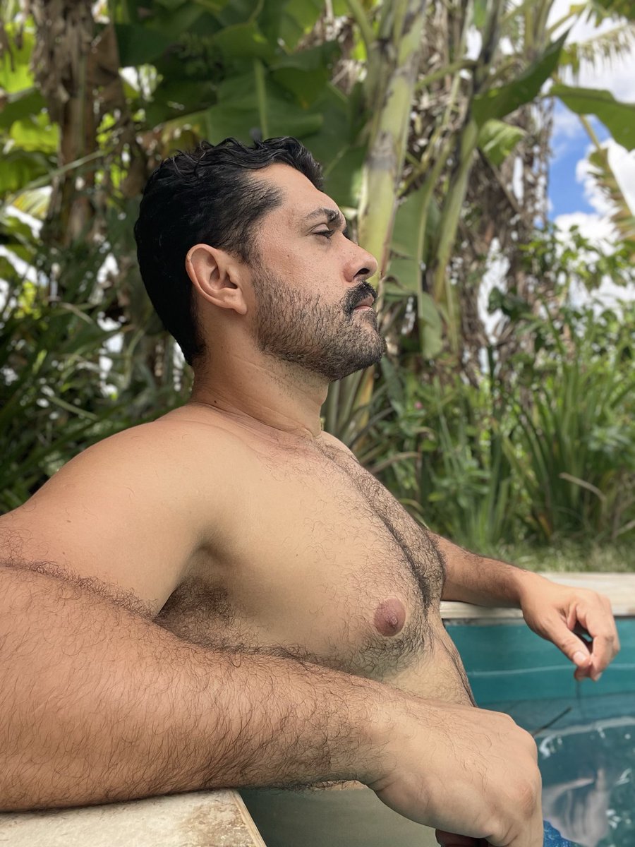 Geni sem zepelin tweet media