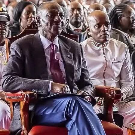 George T. Diano tweet media