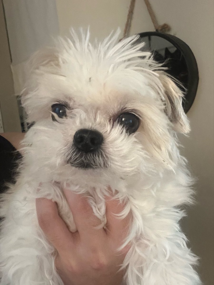 SeungJun tweet media