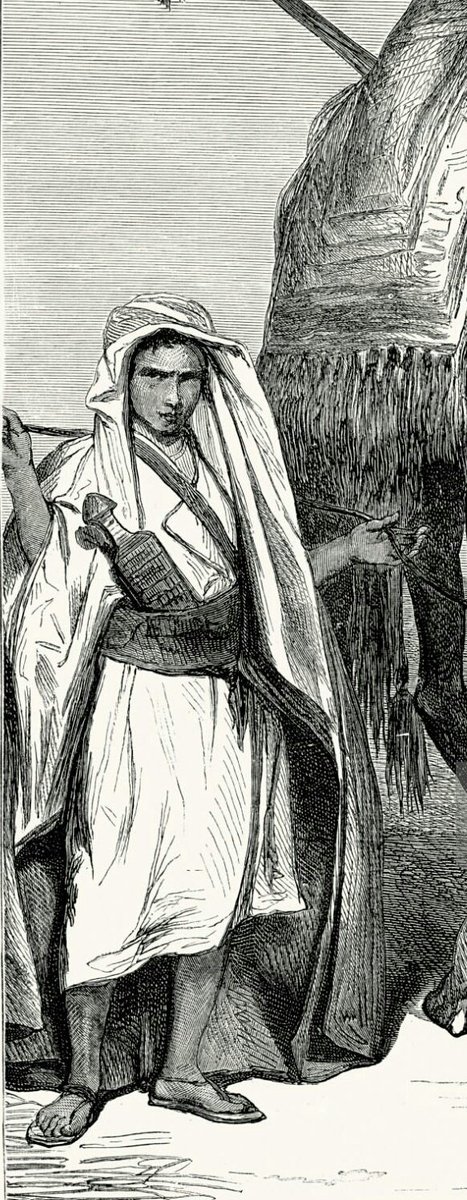 ذئب الجُذامي tweet media