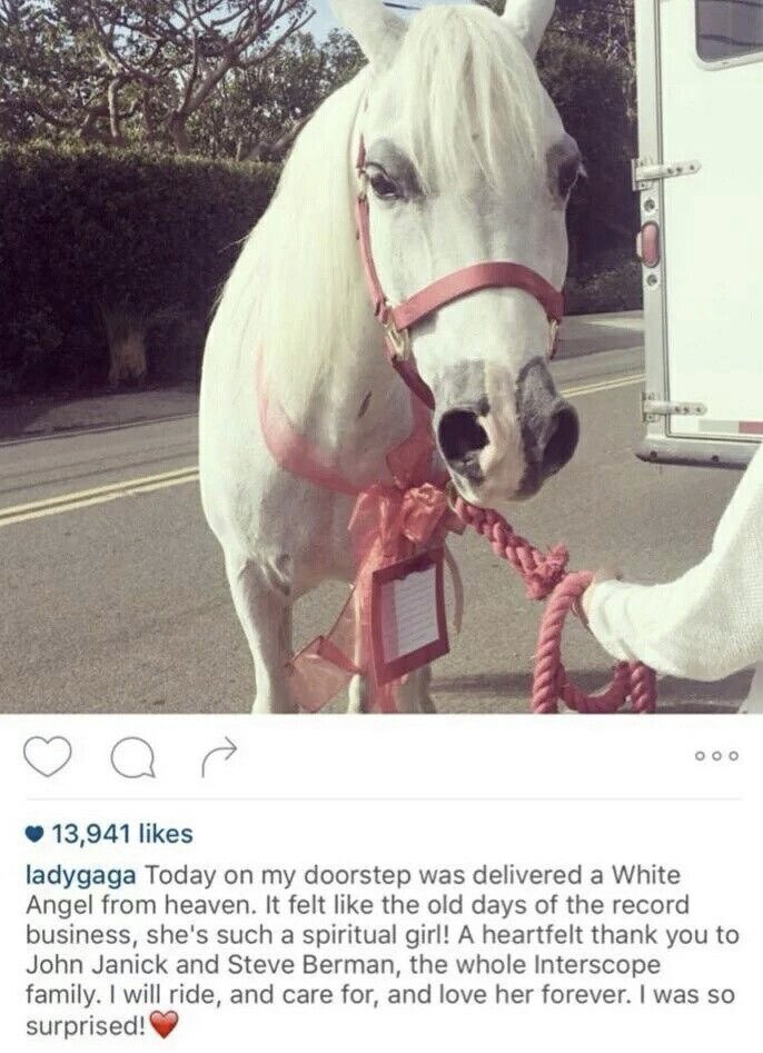 lcbotomy's tweet photo. she was so happy to have a pony https://t.co/S2xx23630b