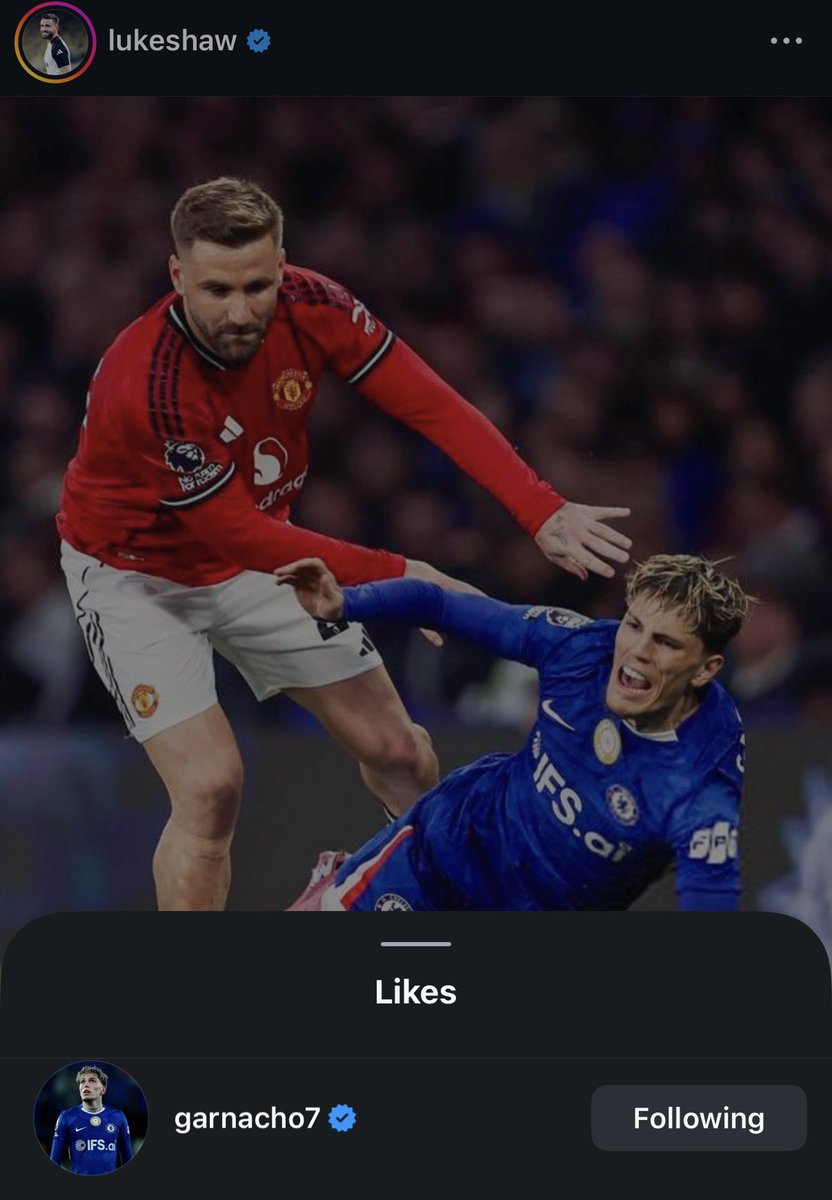 (fan) Frank 🧠🇾🇪 tweet media