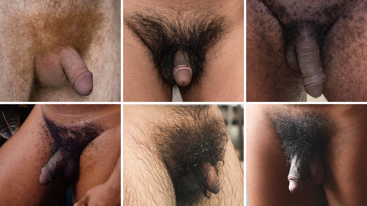 Natural Pursuits tweet media