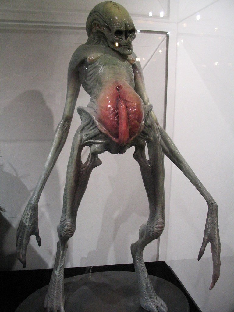 MissGooch tweet media