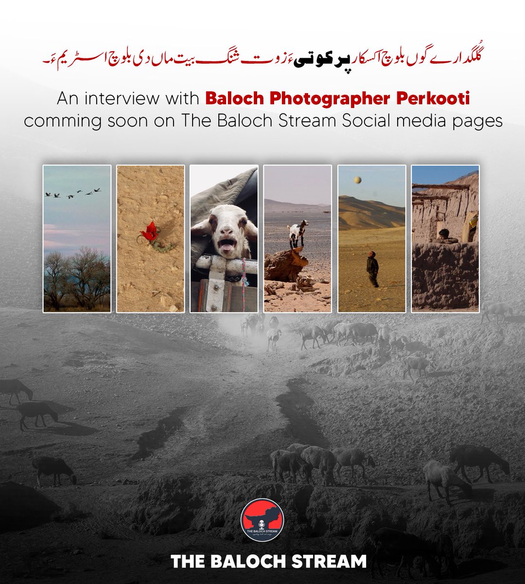 The Baloch Stream tweet media