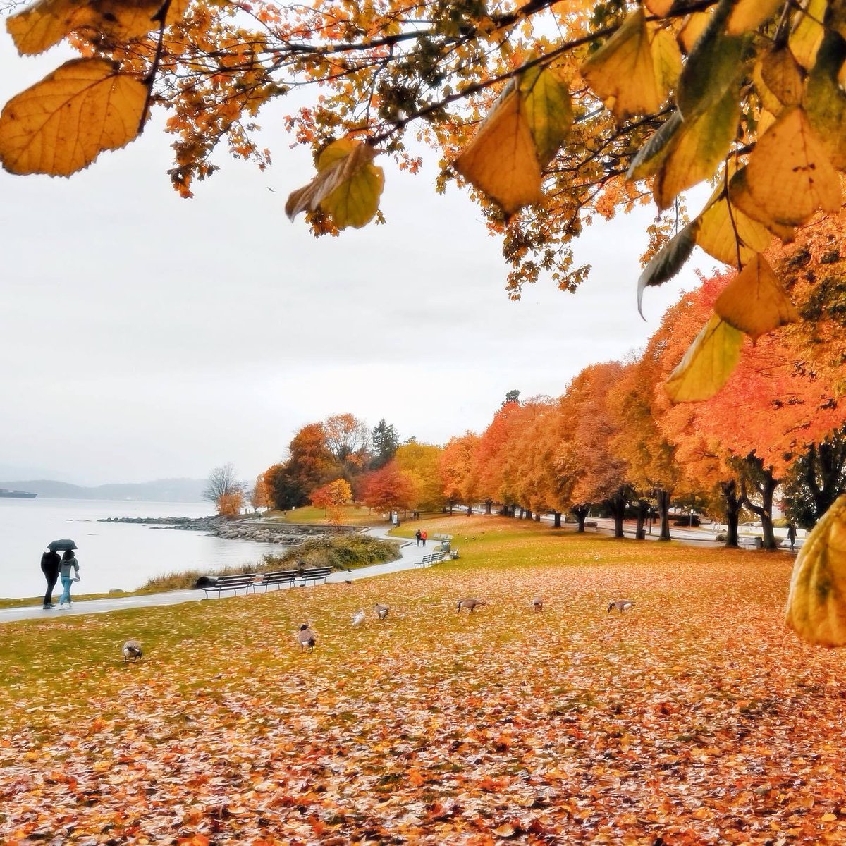 Johncy Joseph tweet media