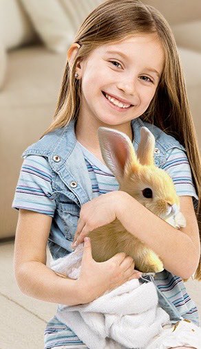 Bunny Robot Toy tweet media