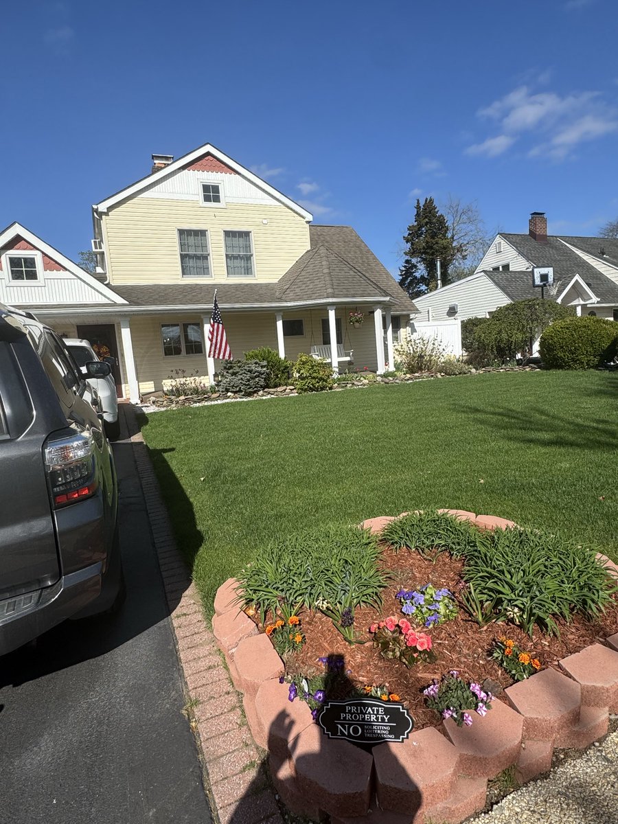 Meatballs n Paradise tweet media