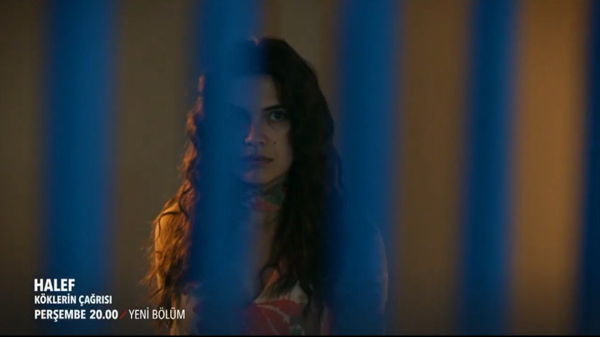 halefarchive tweet media