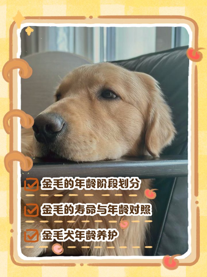 bureau pierre tweet media