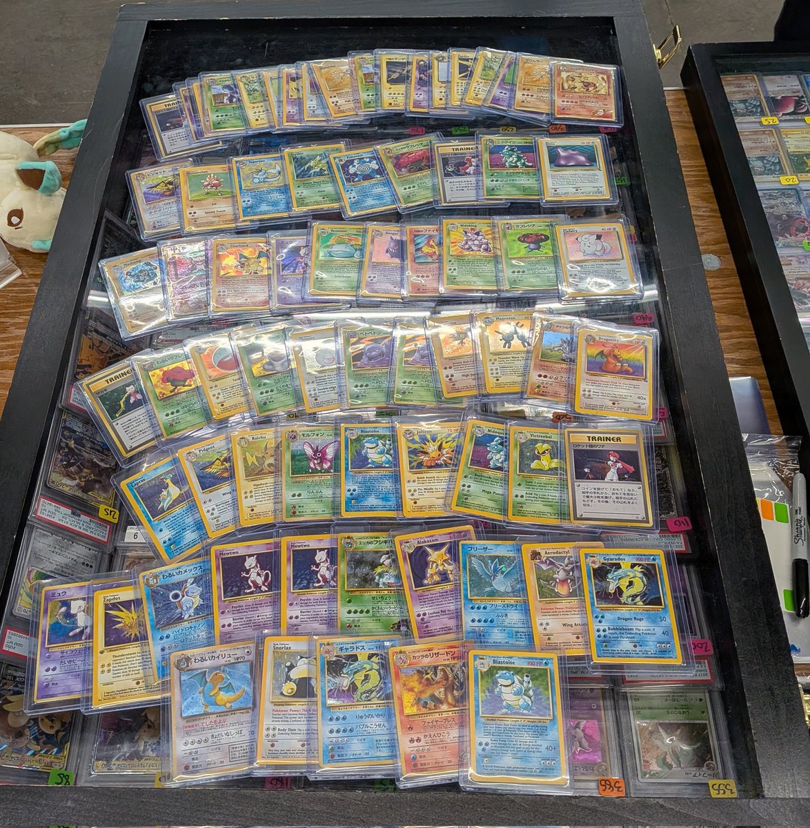 Daylights tweet media