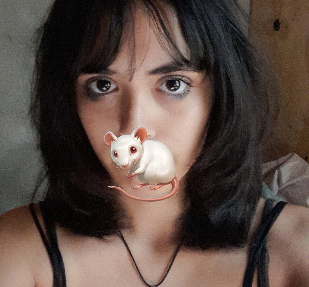 ☕️﹐ıllı 𓈒 ׁ 𝐂i͟𝖾l̶o͟ 𝇄𝇃 ָ֢ ֹ﹒ 𖦹 tweet media