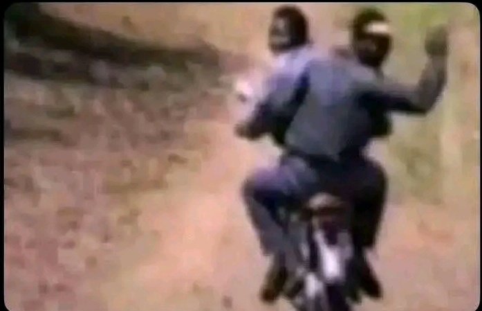 FX MemeLord 😝😜 tweet media