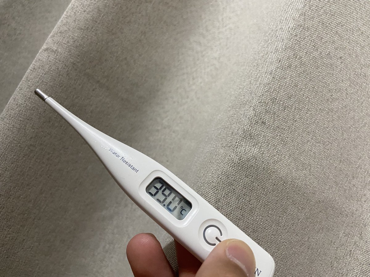 💫カツオ工場長🐧⚡️🐏 tweet media