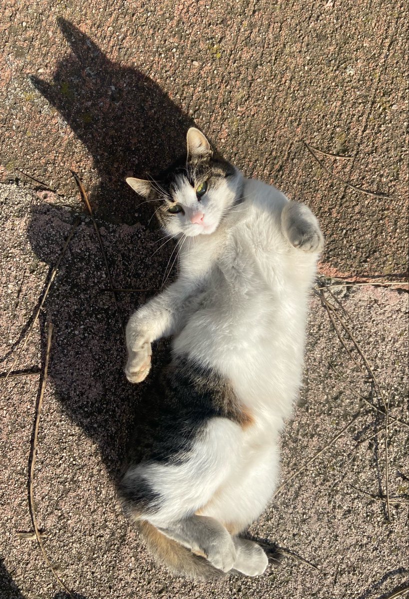 Şunu sevsin biriniz göbüşünden, ben yiyebilirim :))