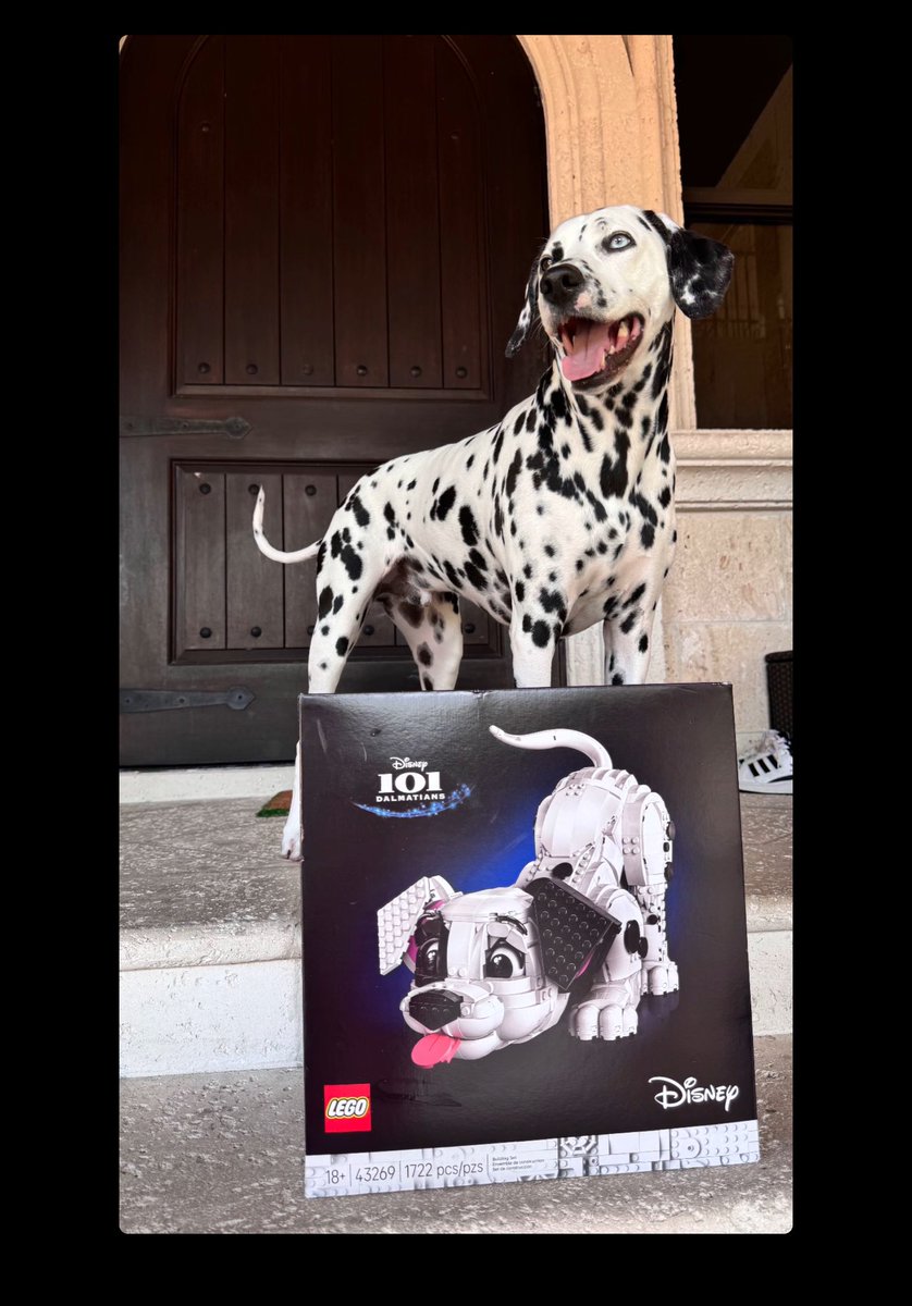 Tobas06's tweet image. FUNNY HOW EVERYBODY SEEMS MISSING SOMEBODY😂

STILL, THEM #PETS CANT SHAKE IT OFF EVEN WITH SOME #SUNDAY #GIFTS😂😂

A VERY QUIET #SUNDAY .