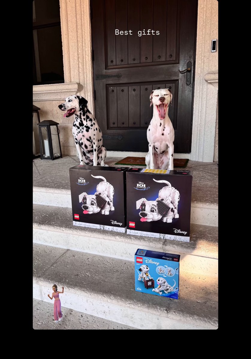 Tobas06's tweet image. FUNNY HOW EVERYBODY SEEMS MISSING SOMEBODY😂

STILL, THEM #PETS CANT SHAKE IT OFF EVEN WITH SOME #SUNDAY #GIFTS😂😂

A VERY QUIET #SUNDAY .