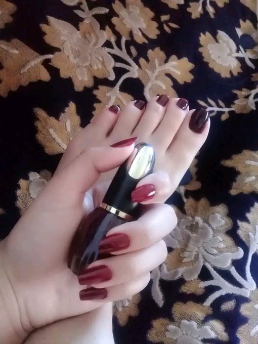 تماره الناصري tweet media