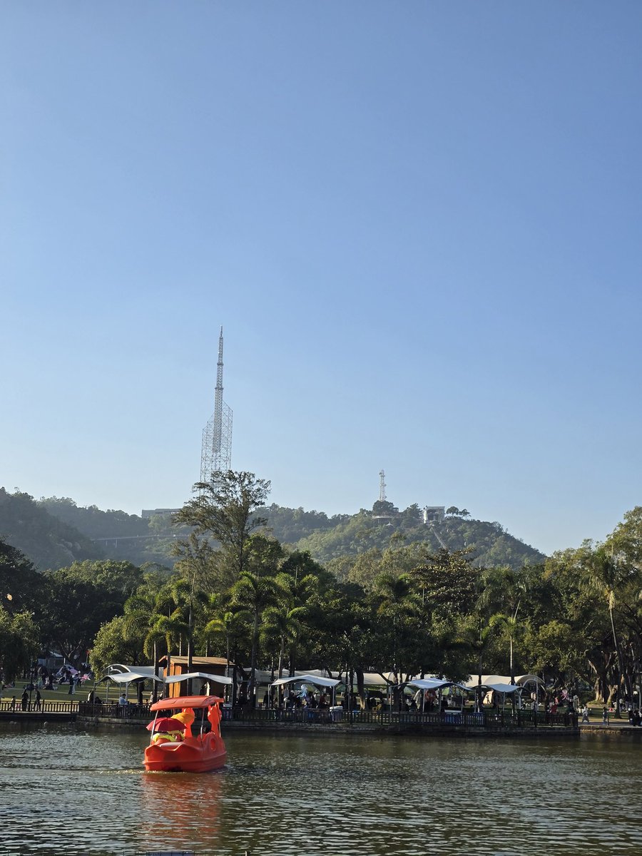 广东的阳光 是把日子晒得暖洋洋的温柔滤镜
#广东 #旅游 #风景 #阳光