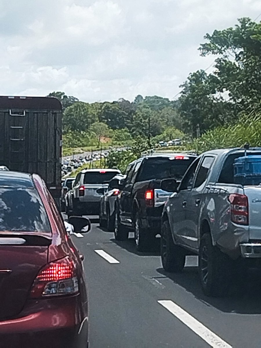 Catia Rojas Toro tweet media